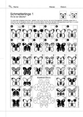 04 Konzentration Schmetterlinge.pdf